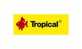 Tropical