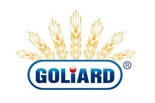 Goliard