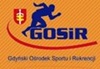 gosir_logo
