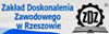 zdzlogo