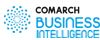 business_intelligence