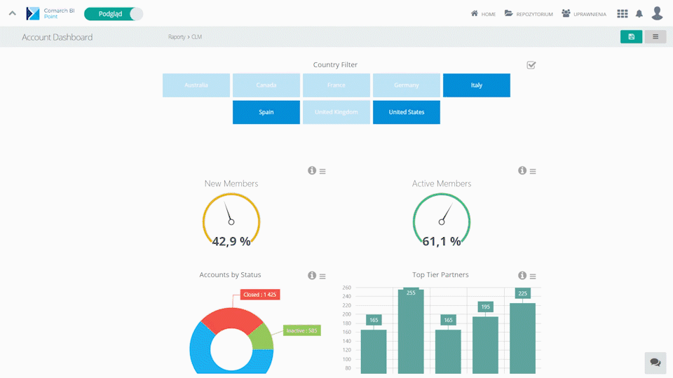 bi point comarch - Atrakcyjna wizualizacja danych biznesowych w Comarch BI