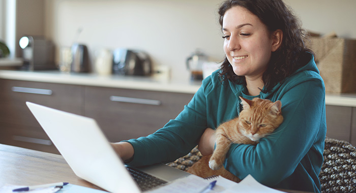 program comarch optima - Pracownik z laptopem i kotem - dobre oprogramowanie do pracy zdalnej