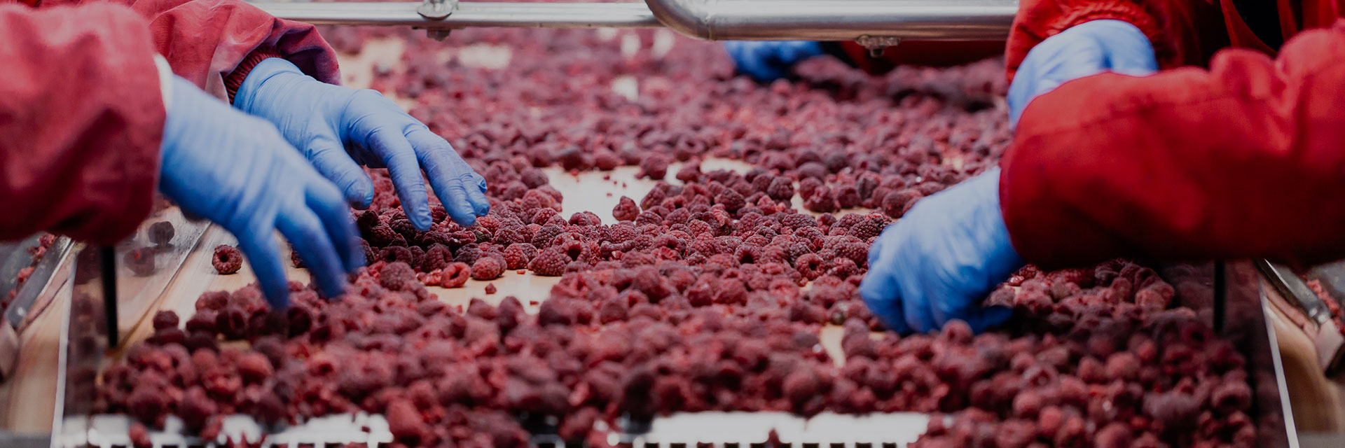 Comarch custody picture