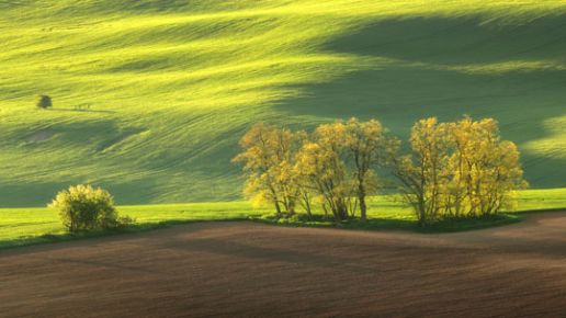 Ochrona Środowiska | Platforma Comarch ERGO