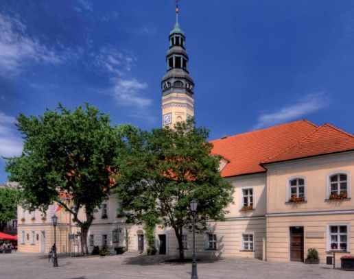 Ewidencja miejscowości, ulic i adresów  | Platforma Comarch ERGO