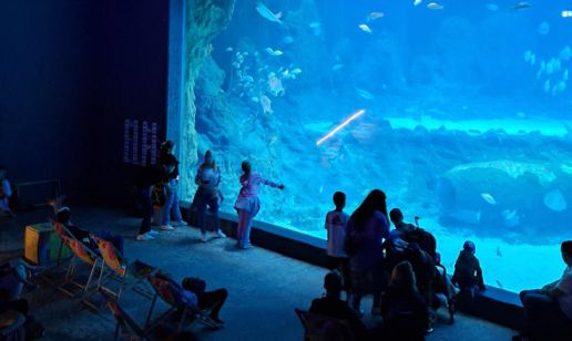 Comarch usprawni zarządzanie dokumentacją w Łodzi