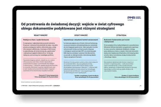 Zobacz fragmenty raportu zanim pobierzesz pełną wersję!