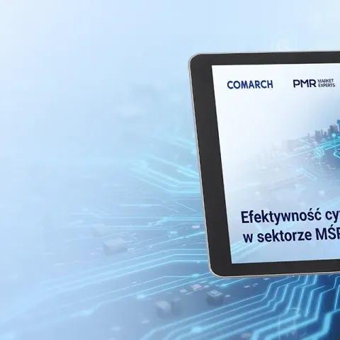 Efektywność cyfryzacji w sektorze MŚP