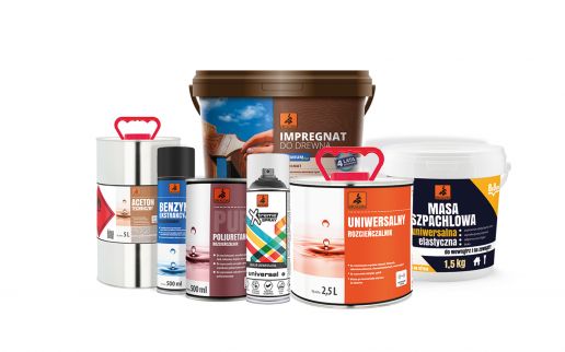 Jak wytresować smoka, czyli Comarch ERP XL w firmie DRAGON