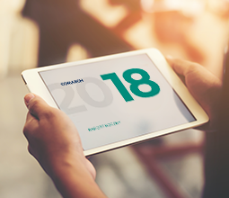 Raport Roczny Comarch 2018