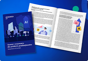 Perspektywa 2024/2025