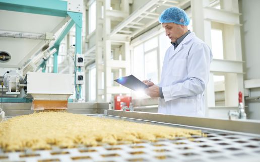 Informatyzacja procesów zarządzania w firmie Foodmakers 