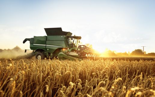 Polskie Zakłady Zbożowe z systemem Comarch ERP XL