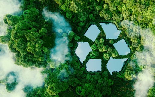 Ekologia w parze z technologią – Comarch DMS w Grupie Econ 