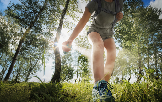Mocne wsparcie w ogrodzie czy kuchni. Tak Comarch ERP XL zwiększa potencjał VACO RETAIL