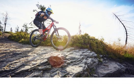 Wdrożenie na medal, czyli Comarch ERP XL w firmie QUESTSPORT