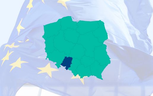 Dotacje na IT w Opolskim