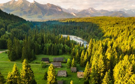 Wdrożenie Krajowego Systemu Informacji o Pożarach Lasów dla Instytutu Badawczego Leśnictwa