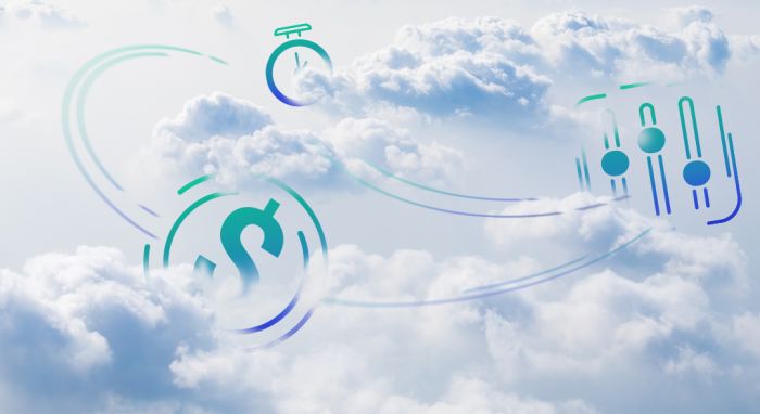 Pełne przeniesienie usług sieciowych do chmury