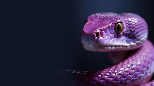 Fakty, mity i przyszłość AI z Pythonem