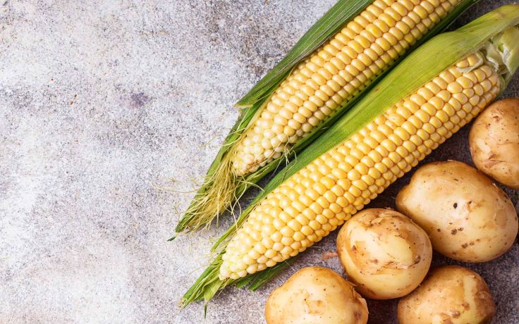Comarch wdraża system wsparcia sprzedaży dla Frito Lay z grupy PepsiCo